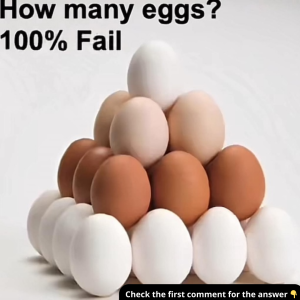 How Many Eggs Are There? Most People Miss This Key Detail—Can You Explain It?