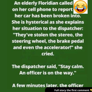 Hysterical 911 Call: Grandma’s Car Stolen? – The Case of the Missing Car Parts