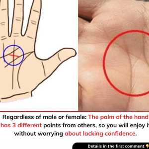 Regardless of male or female: The palm of the hand has 3 different points