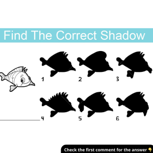 How Well Do You Observe? Find the Correct Shadow Among These Options!