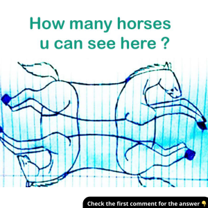 How Many Horses Are There? Find Out the Surprising Answer Behind the Visual Illusion!