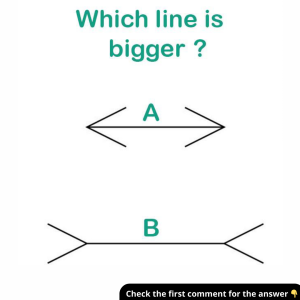 Which Line is Longer? The Answer Lies in the Visual Trick – Find Out!