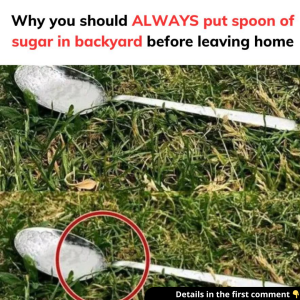 Why you should ALWAYS put spoon of sugar in backyard before leaving home