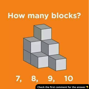 How Many Blocks Can You Count? Reveal the Answer and Explain How You Got It Right How Many Blocks Can You Count? Reveal the Answer and Explain How You Got It Right