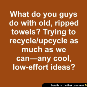 These ideas are great These ideas are great