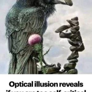 Optical illusion reveals if you are too self critical