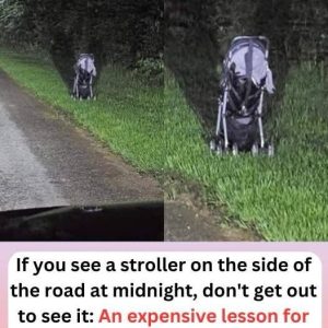 Woman Issues Frightening Warning After Finding a Stroller Abandoned on the Side of The Road Woman Issues Frightening Warning After Finding a Stroller Abandoned on the Side of The Road