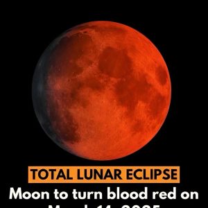 The total lunar eclipse will occur on March 14-15, 2025. It will last approximately 65 minutes, during which the Moon will shift from its usual bright white to a deep red or brown shade. All detail here