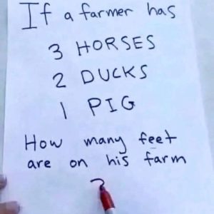 Brain Teaser: How Many Feet Are On The Farm?