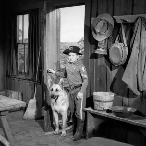 From War to Hollywood: How Did One Dog Become a Legend?