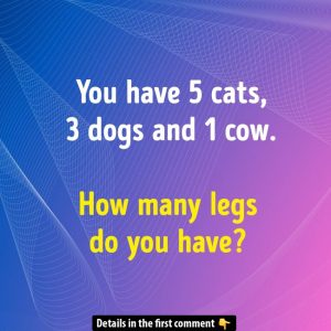 How Many Legs Are You Asked About? Find Out Why the Answer Is Simpler Than You Think!