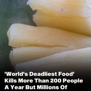 World’s ‘deadliest food’ kills 200 each year World’s ‘deadliest food’ kills 200 each year