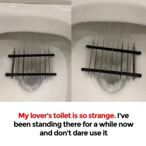 Woman stunned over a strange metal object placed inside lover’s toilet