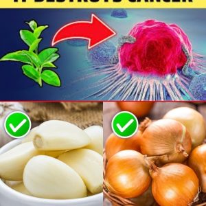 Cancer Dies When You Eat These 8 Foods: Harnessing Nature’s Power