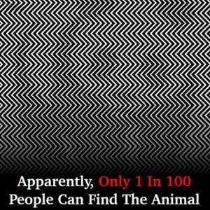 Think You Have Sharp Eyes? Find the Animal That’s Fooling Everyone