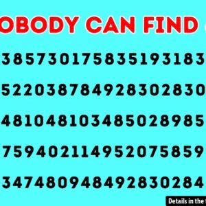 Find the Hidden Number 6 That’s Fooling Everyone – Are You Up for the Challenge?