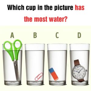 Which Glass Holds the Most Water? Few Get It Wrong, But Will You?