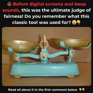 Do You Recall This Old Favorite? It Was a Household Essential Back Then! Explore the History Behind It! Do You Recall This Old Favorite? It Was a Household Essential Back Then! Explore the History Behind It!