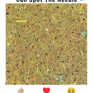 The Needle in the Haystack Challenge: A Visual Test for Sharp Minds