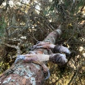 What Happens When Nature Defies Expectations…