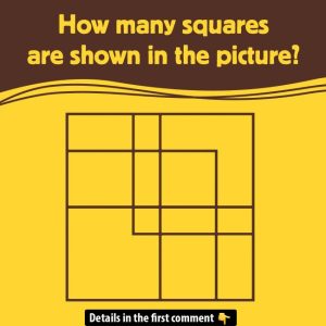 Can You Count All the Squares? Test Your Attention to Detail Now!