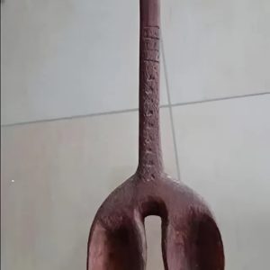 What on Earth Is This Thing? What on Earth Is This Thing?