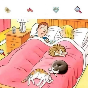 Find the four hidden items. Can you find them all? Find the four hidden items. Can you find them all?