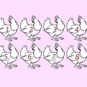How many different chickens are in the picture? What’s wrong? It’s easy but easy to get wrong!
