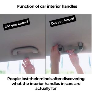 People Are Losing It Over What Car Grab Handles Are Really For—And It’s Not What You Think People Are Losing It Over What Car Grab Handles Are Really For—And It’s Not What You Think