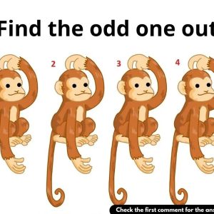 Can You Spot the Difference Between These Monkeys? The Answer Is Right in Front of You!