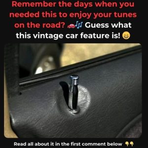Do You Still Own This Timeless Item? If You Do, You’ve Kept a Piece of Practical History! Let’s Discover Its Purpose and Popularity! Do You Still Own This Timeless Item? If You Do, You’ve Kept a Piece of Practical History! Let’s Discover Its Purpose and Popularity!