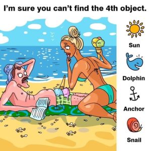 Can You Spot All 4 Hidden Objects in This Beach Puzzle?