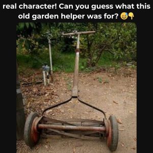 Do You Recognize This Piece of History? If You Do, You’ve Experienced the Simplicity and Functionality of This Classic Lawn Mower—Learn the Story Behind It! Do You Recognize This Piece of History? If You Do, You’ve Experienced the Simplicity and Functionality of This Classic Lawn Mower—Learn the Story Behind It!