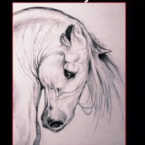 Visual Riddle: Besides the Horse, What Else Can You Spot? Visual Riddle: Besides the Horse, What Else Can You Spot?