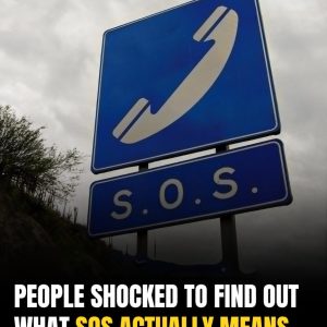 The Real Meaning Behind ‘SOS’ Shocks the Internet — And It’s Not What You Think The Real Meaning Behind ‘SOS’ Shocks the Internet — And It’s Not What You Think