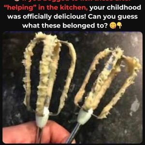 Do You Remember This Childhood Essential? If You Do, You Know It Was a Must-Have—Discover the Fascinating Story Behind It!