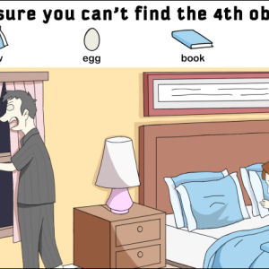 Can you find the four hidden objects?