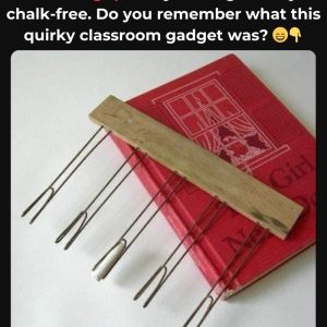 Do You Recall This Beloved Schoolroom Tool? If You Do, You’ve Seen Its Perfect Lines—Discover the Extraordinary Tale Behind Its Creation! Do You Recall This Beloved Schoolroom Tool? If You Do, You’ve Seen Its Perfect Lines—Discover the Extraordinary Tale Behind Its Creation!