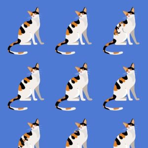 Which Cats Are Full-Sized and Which Are Kittens? Get the Correct Total!