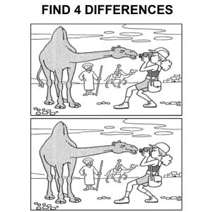 Spot the Difference: A Fun Brain Teaser with Camels and Cameras