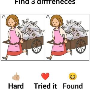 Spot the 3 Differences – The Woman with the Garbage Cart Puzzle