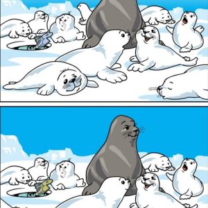 Can You Spot the 10 Differences in This Seal Puzzle? Can You Spot the 10 Differences in This Seal Puzzle?