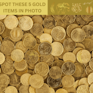 Can you spot these 5 gold items photo puzzle