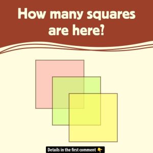 Can You Figure Out the Total Squares? Here’s the Answer!