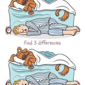 Can you spot all the differences? Only the sharpest minds can
