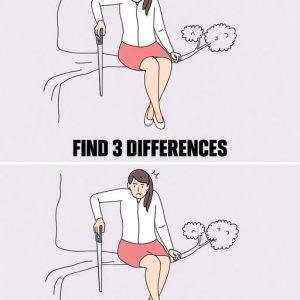 Only a genius could find all the differences between these two pictures
