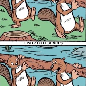 The Timeless Allure of Spot-the-Difference Puzzles