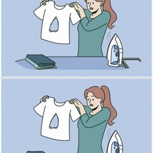 Challenge: Find 3 Differences Between the Two Images!