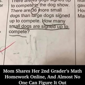 Can You Solve This Second Grader’s Math Problem? The Answer Might Leave You Puzzled!
