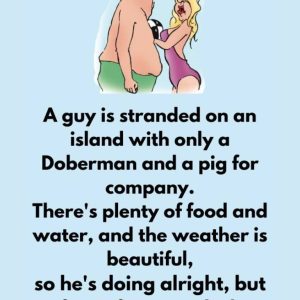 A guy is stranded on an island with only a Doberman and a pig for company